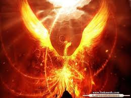 Y la vida sigue .....